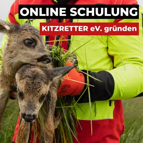 Onlineschulung Kitzretter Verein gründen