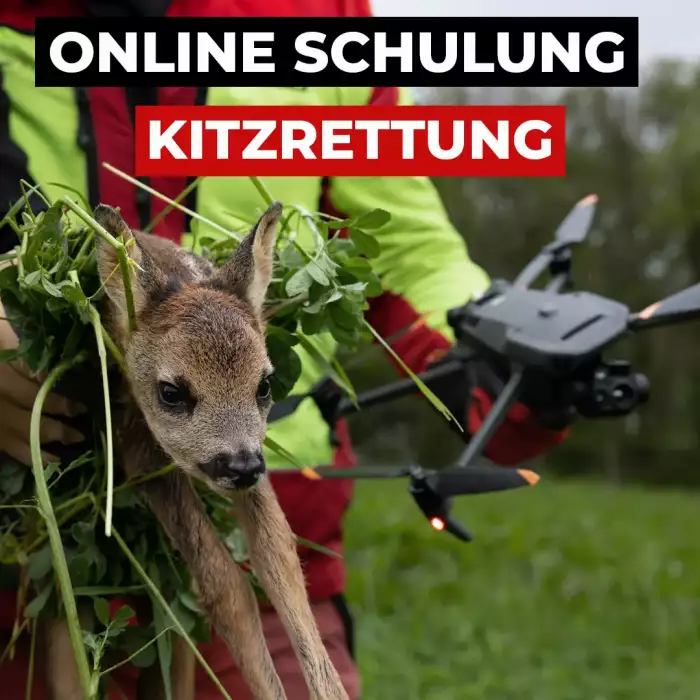 Kitzrettung Online Schulung